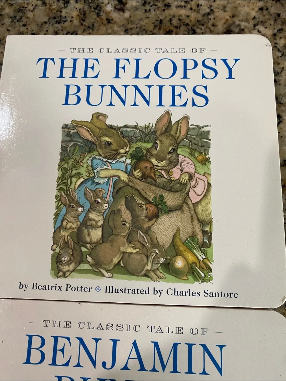 VTG Beatrix Potter Board Book Benjamin Bunny & Flopsy Bunnies Charles Santore